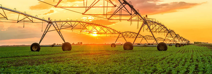 Agriculture farming at sunset Agriculture farming at sunset