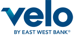 Velo logo
